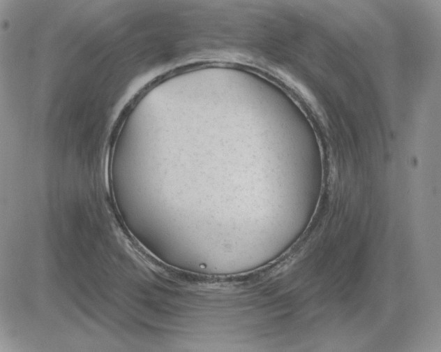 X0000081461272200701261929