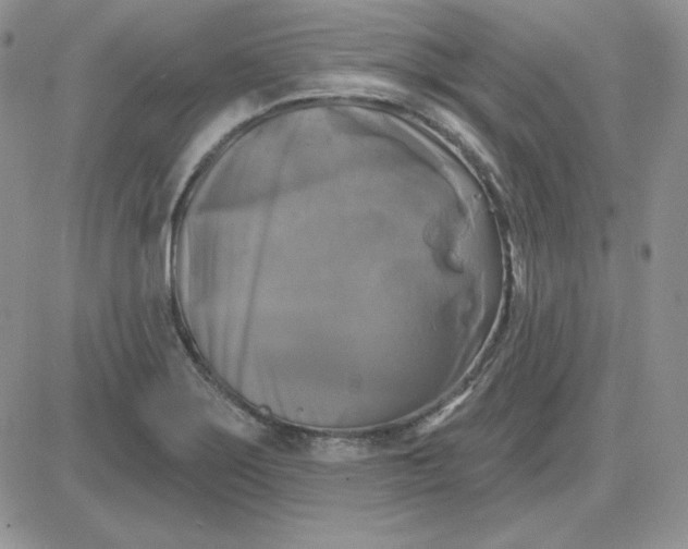 X0000081461275200701261929