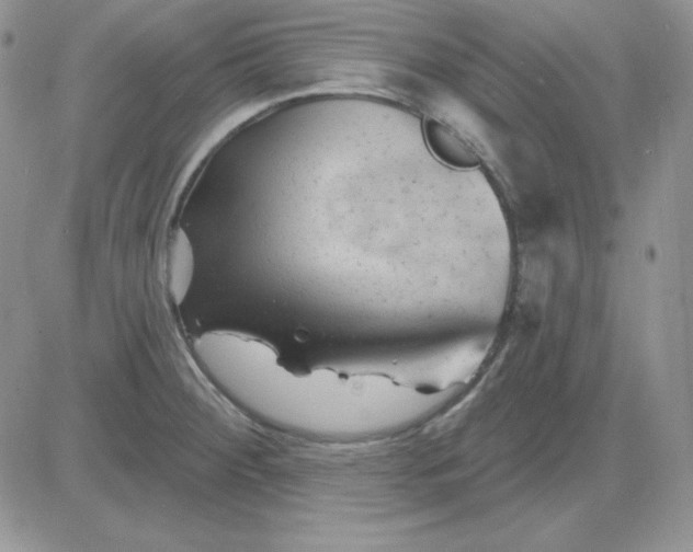 X0000081461284200701261928