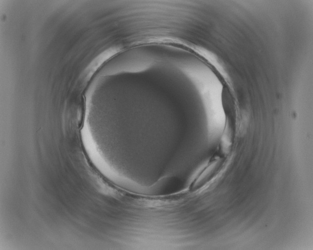 X0000081461289200701261928