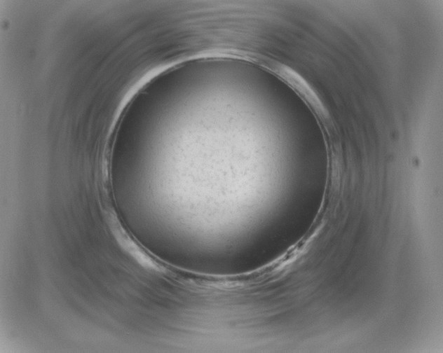 X0000081461292200701261928