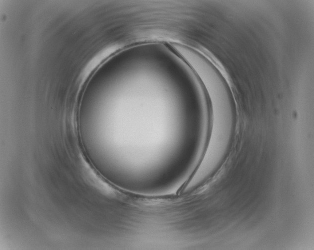 X0000081461293200701261928