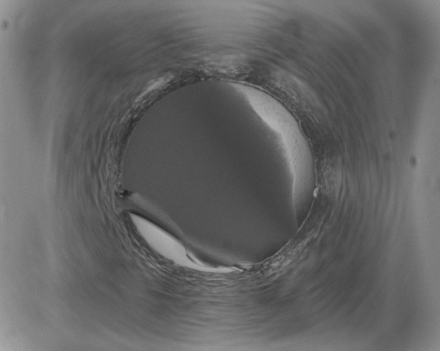 X0000081461297200701261927