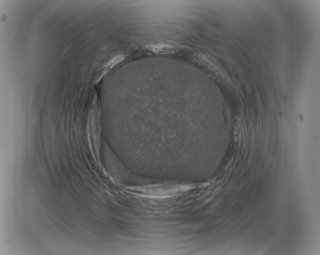 X0000081461298200701261927