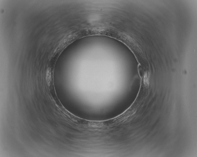 X0000081461299200701261927