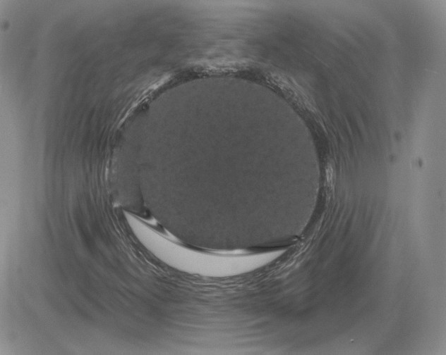 X0000081461300200701261927
