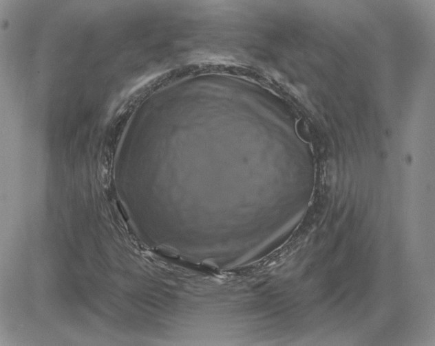 X0000081461303200701261928