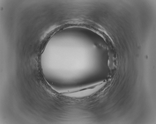 X0000081461304200701261928