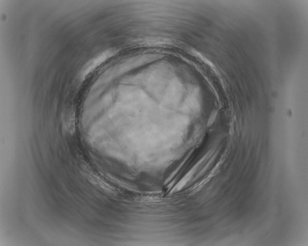 X0000081461306200701261928