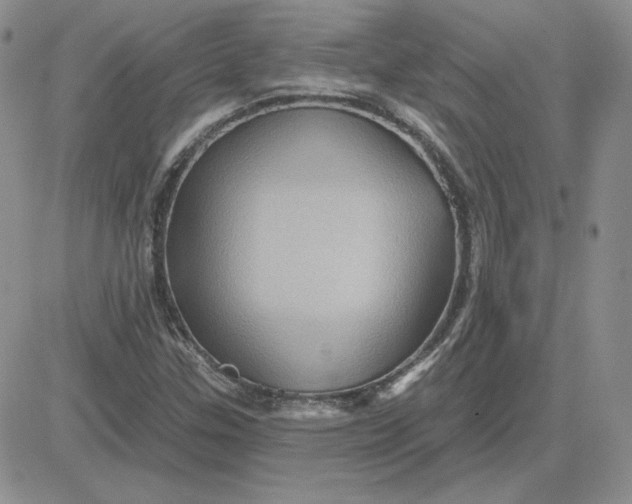 X0000081461307200701261928