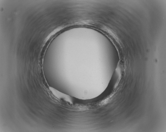 X0000081461308200701261928