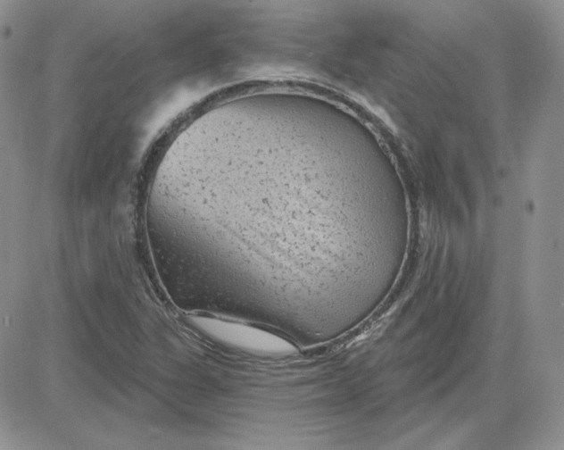 X0000081461311200701261928