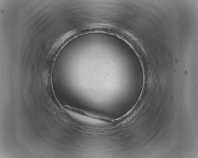 X0000081461313200701261928