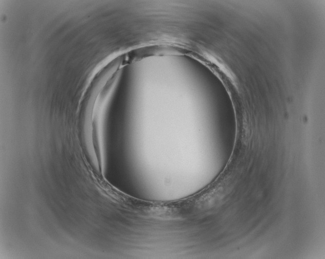 X0000081461316200701261928