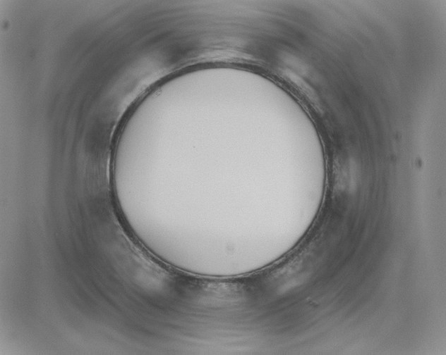 X0000081461322200701261928