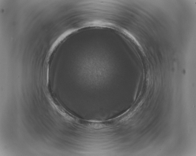 X0000081461323200701261928