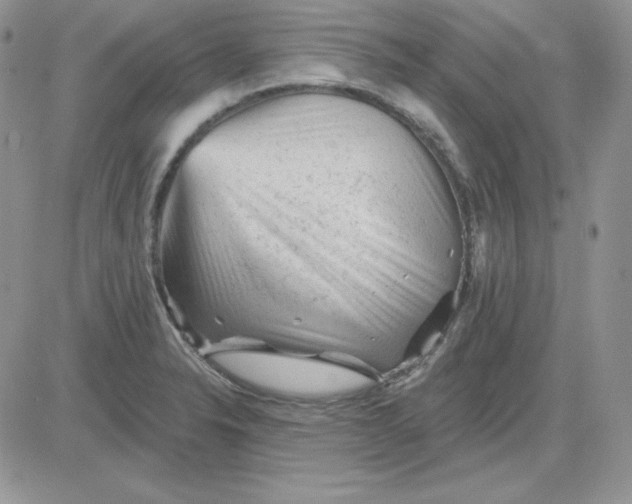 X0000081461326200701261928