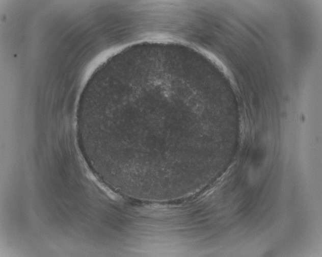 X0000081461327200701261928
