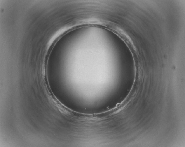 X0000081461328200701261928