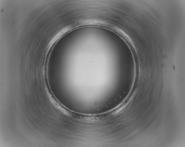 X0000081461330200701261928