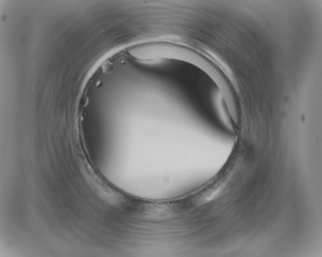 X0000081461332200701261928