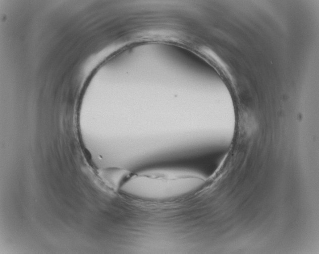 X0000081461336200701261928