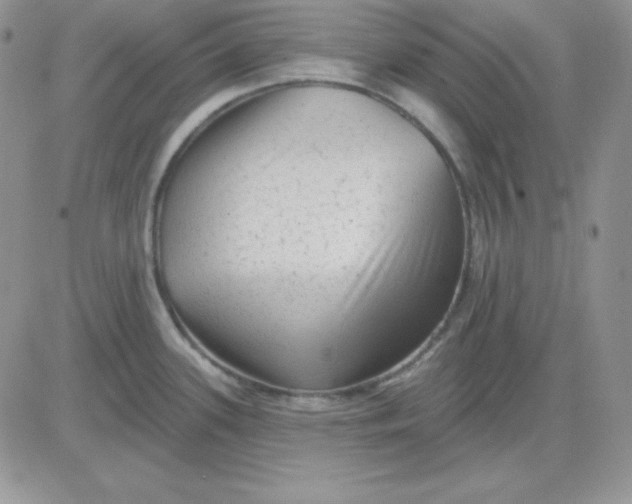X0000081461339200701261928