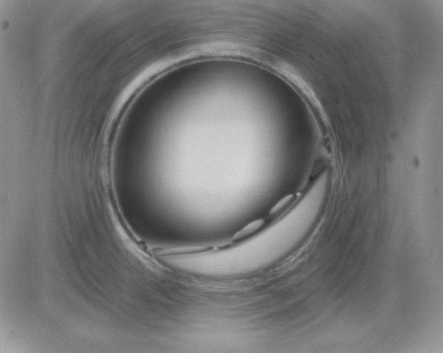 X0000081461342200701261928