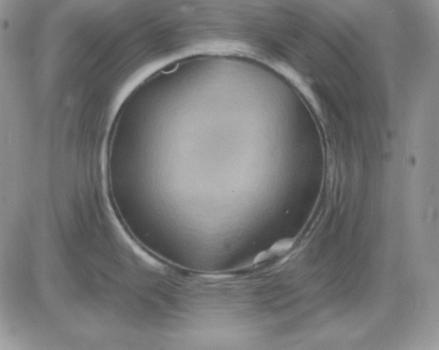 X0000081461343200701261928