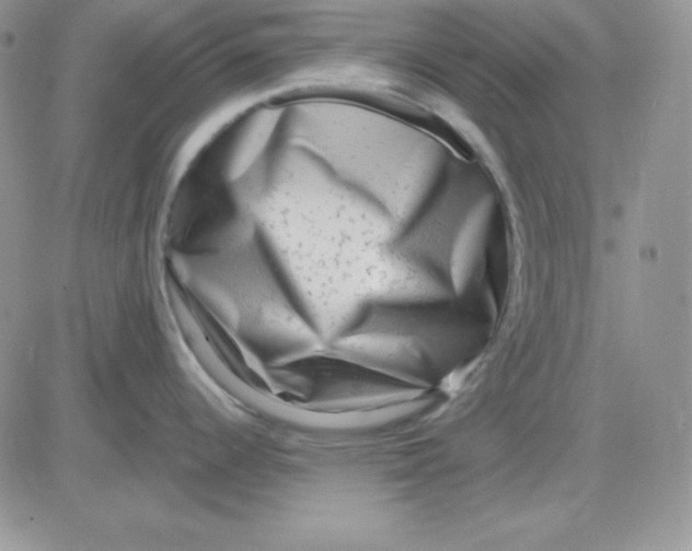 X0000081461344200701261928