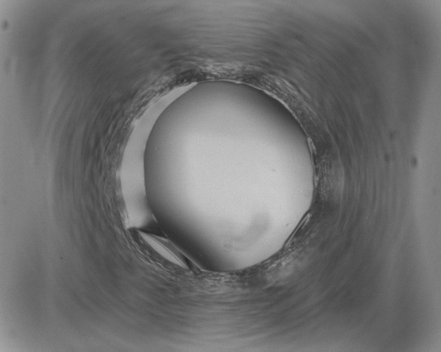 X0000081461345200701261927