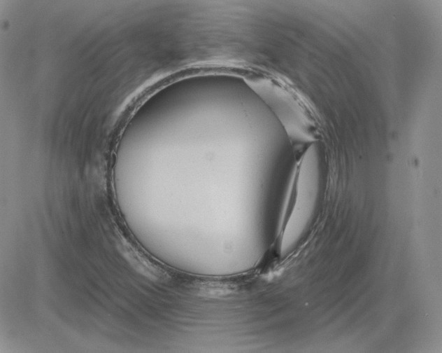 X0000081461356200701261927