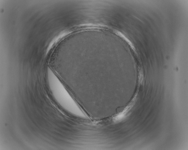 X0000081461357200701261927