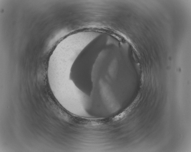 X0000081461359200701261927