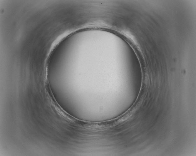 X0000081461366200701261927