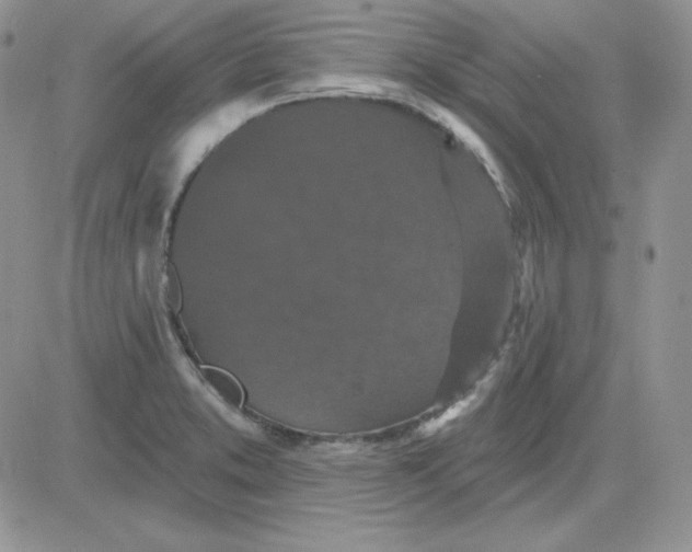 X0000081461373200701261927