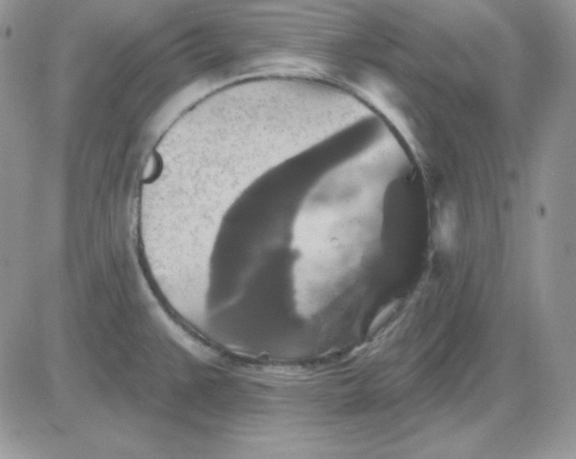 X0000081461383200701261927