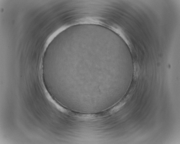 X0000081461387200701261927
