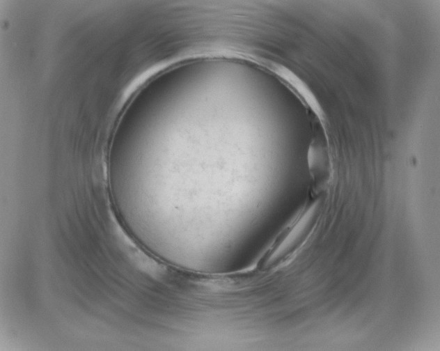 X0000081461388200701261927