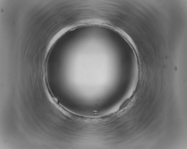 X0000081461389200701261927