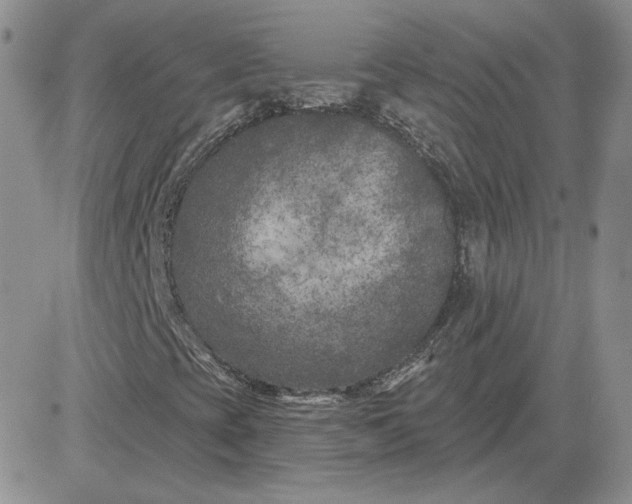 X0000081461393200701261926