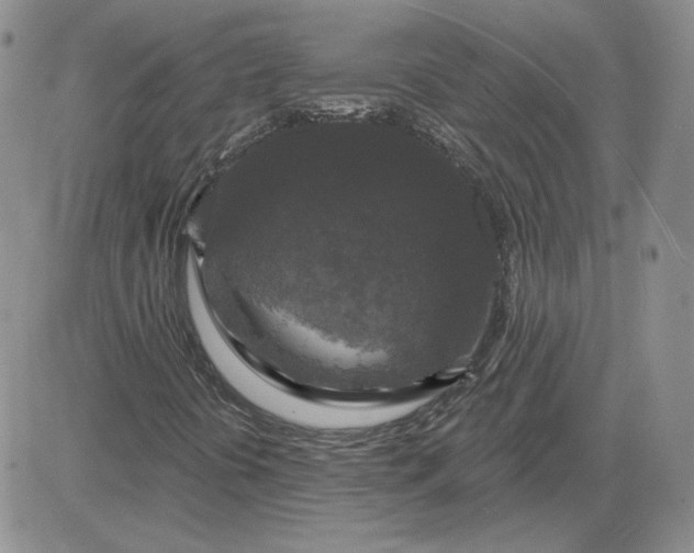 X0000081461394200701261926