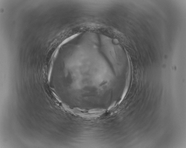 X0000081461397200701261926