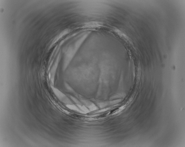 X0000081461401200701261926