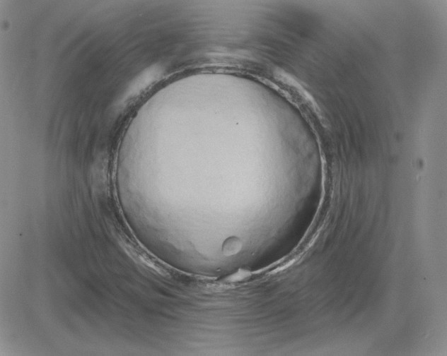 X0000081461403200701261926