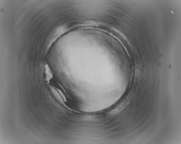 X0000081461409200701261926