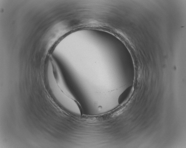 X0000081461410200701261926