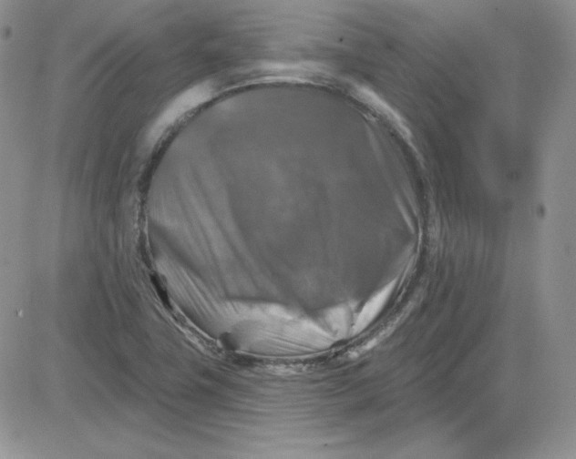 X0000081461411200701261926