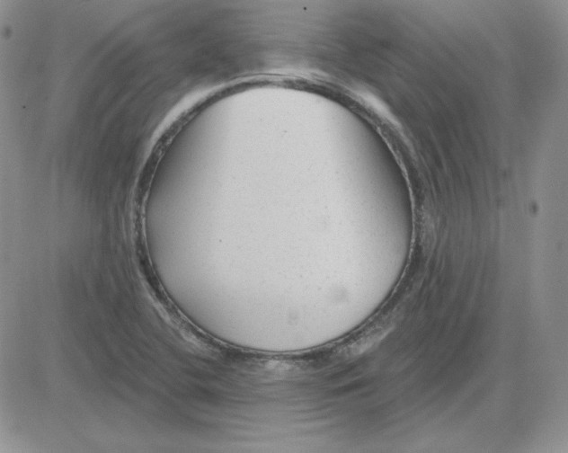 X0000081461412200701261926