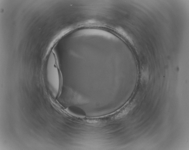 X0000081461413200701261926